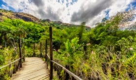 Garden near to Lautoka city, Fiji, pacific ocean