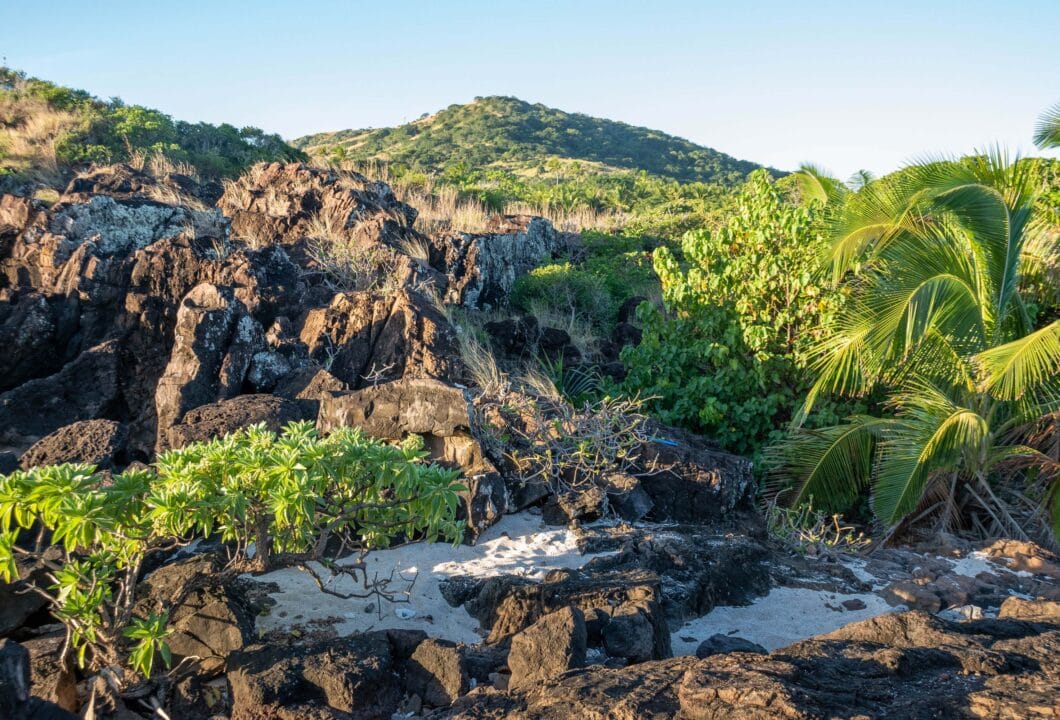 Mount Tomanivi - Fidschis höchster Gipfel