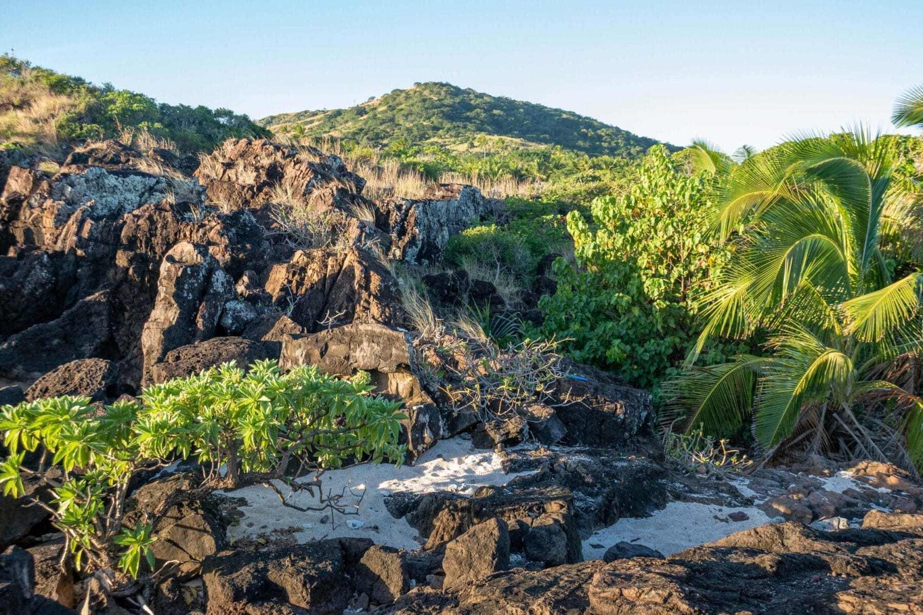 Mount Tomanivi - Fidschis höchster Gipfel
