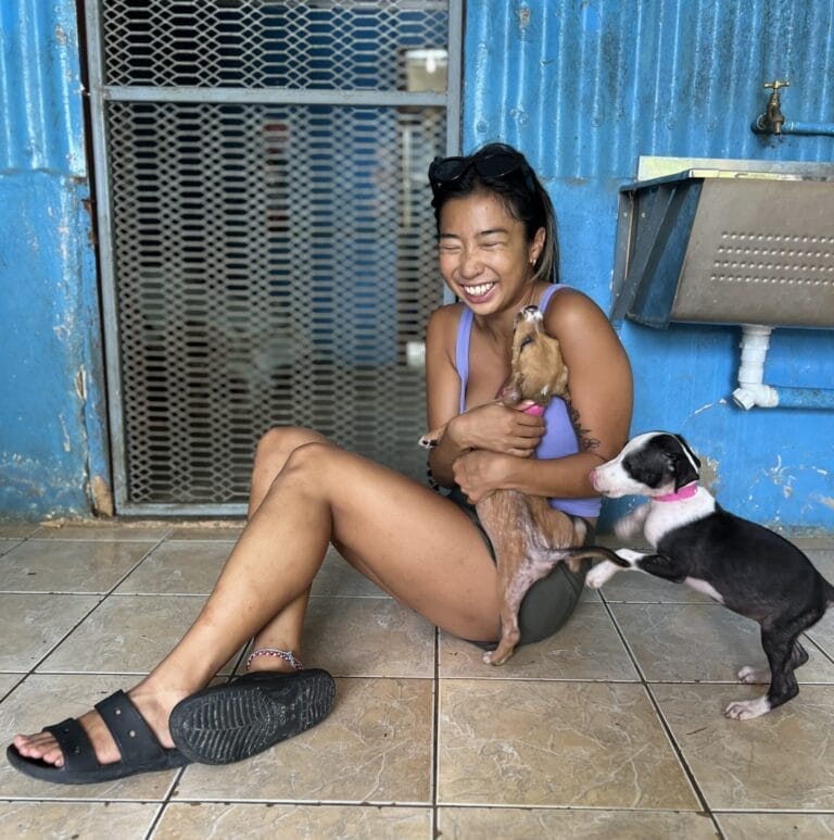 Fiji - Ein nachhaltiges & regeneratives Reiseerlebnis