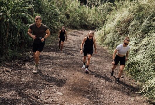 Gruppe von vier Personen läuft einen steinigen Waldweg bergauf zwischen dichtem Grün