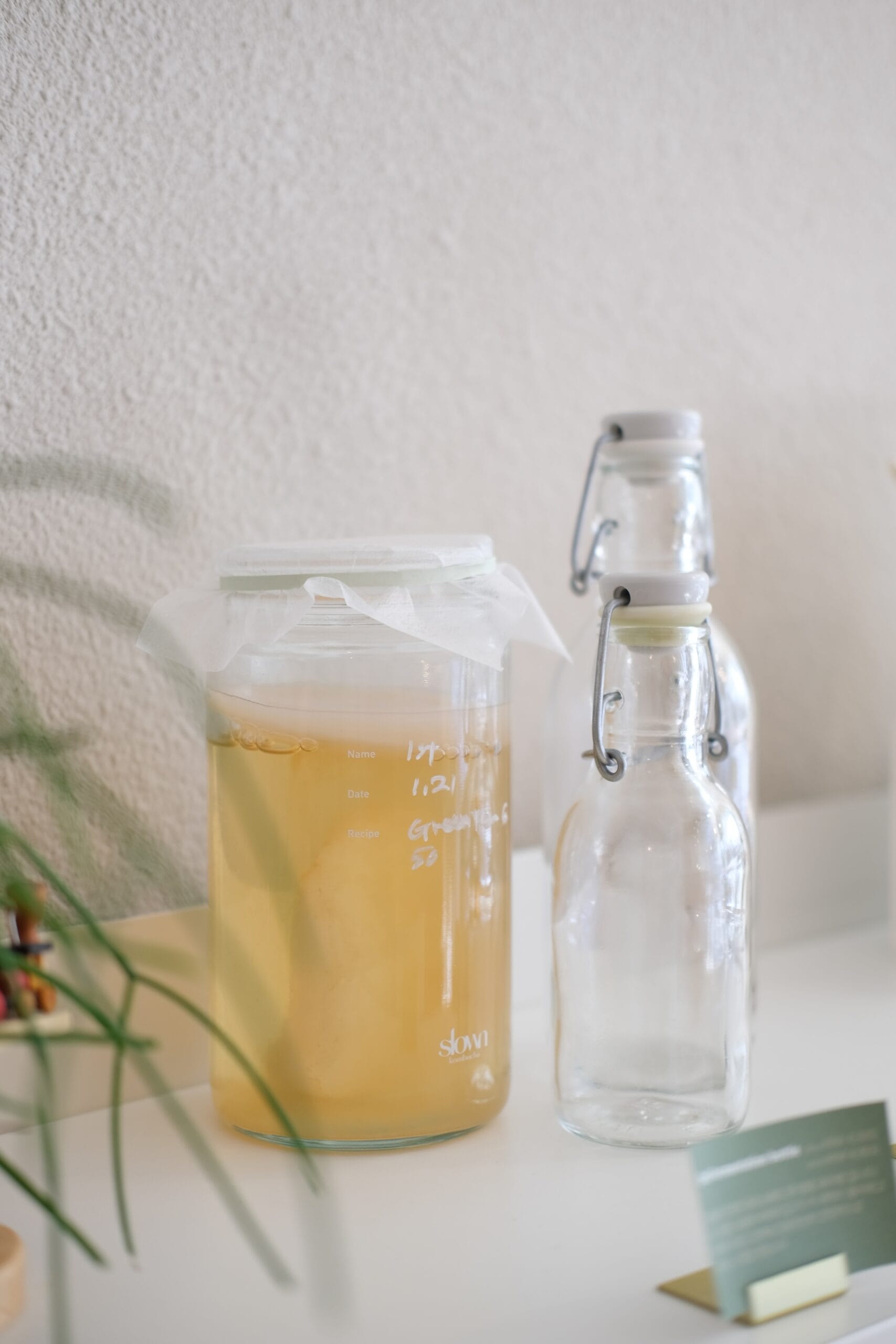 Kombucha in einem Behälter auf einem weißen Tisch neben Glasflaschen