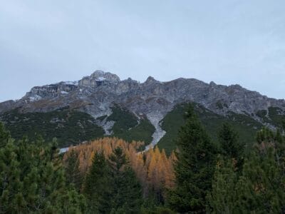 Schnee bedeckte Berge und Tannen mit grauem Himmel