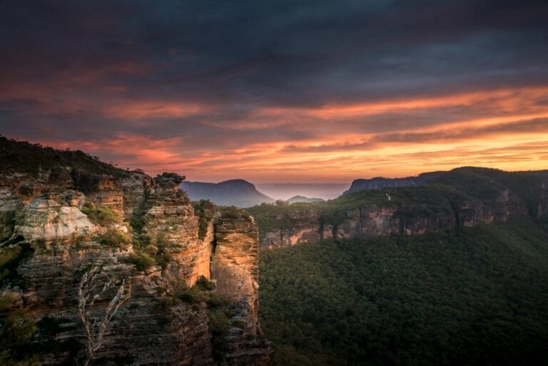 Ocean Drive Abenteuer in New South Wales (PPA015)