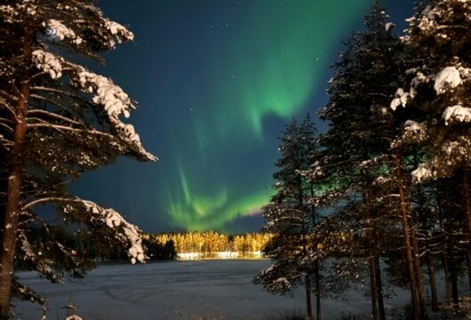 Grüne Polarlichter leuchten am Nachthimmel über einer verschneiten Landschaft mit Tannenbäumen und einer schneebedeckten Fläche im Vordergrund