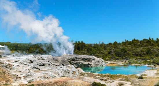 Geothermische Hot Springs mit dampfendem Thermalbecken in Whakarewarewa bei Rotorua auf der Nordinsel Neuseelands